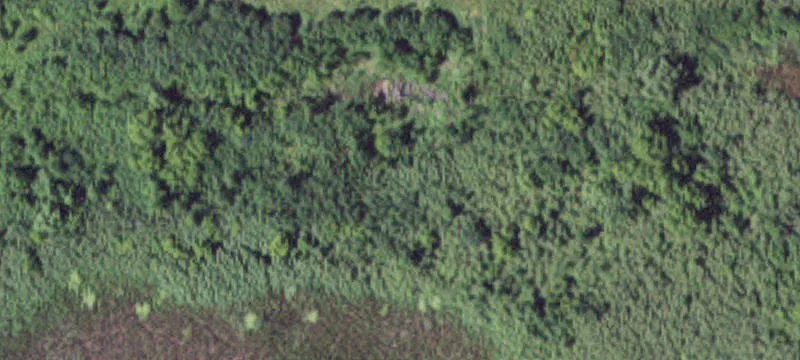 Comfrey, MN 56019