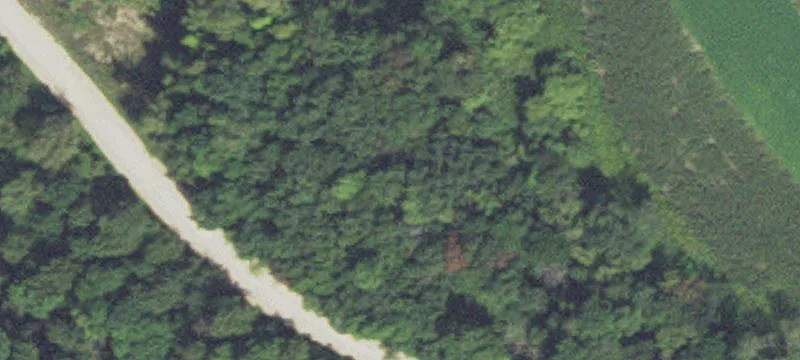 Houston, MN 55943