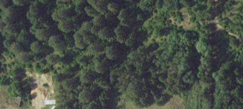 Menahga, MN 56464