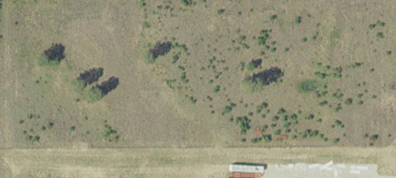Bemidji, MN 56601