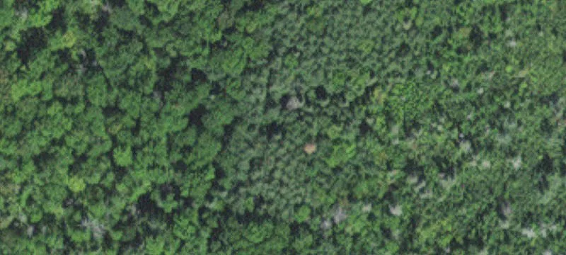 Tamarack, MN 55787
