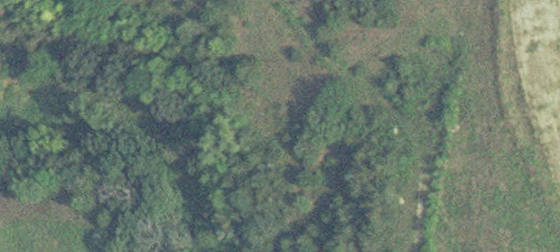Kasota, MN 56050