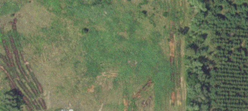 Nevis, MN 56467