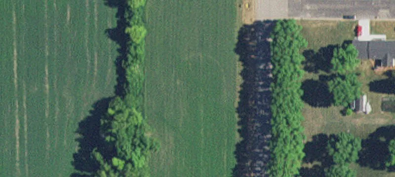 Wood Lake, MN 56297