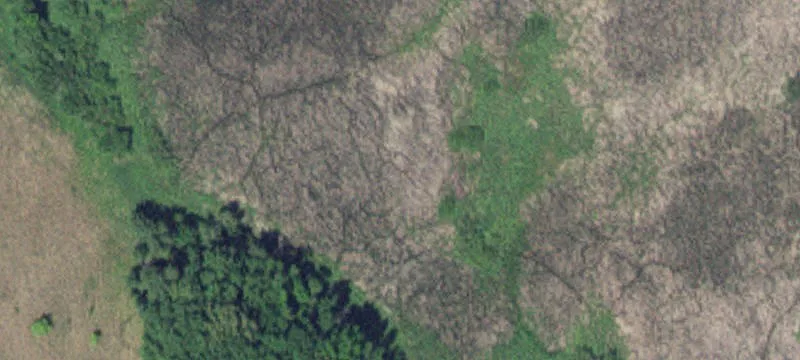 Browerville, MN 56438