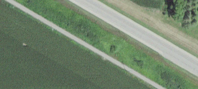 Adams, MN 55909