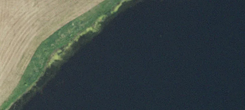 Sunburg, MN 56289