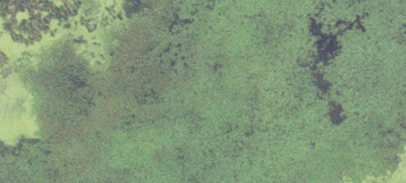 La Crescent, MN 55947