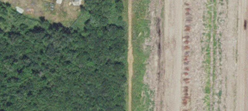 International Falls, MN 56649