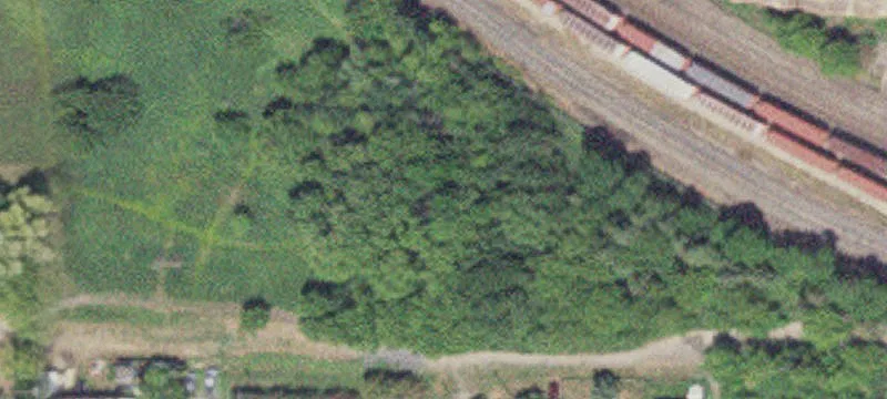International Falls, MN 56649