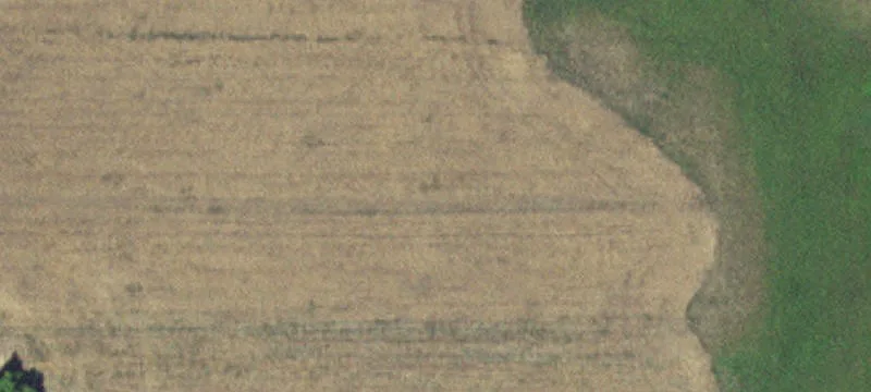 Verndale, MN 56481