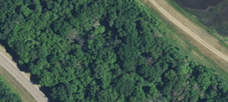Long Prairie, MN 56347