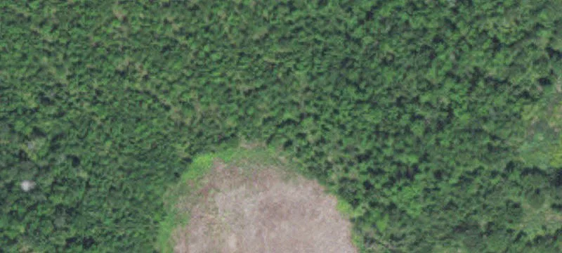 International Falls, MN 56649
