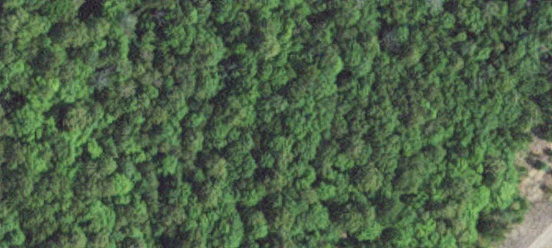 Deer River, MN 56636