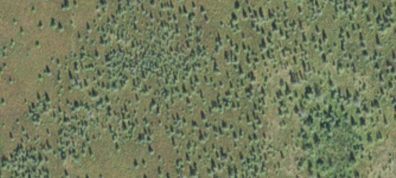 Tamarack, MN 55787