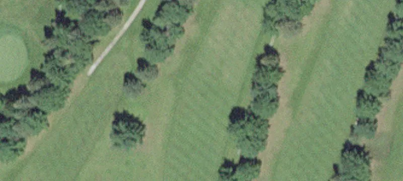 14927 State Hwy 56