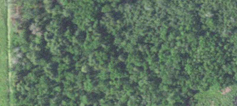Aitkin, MN 56431