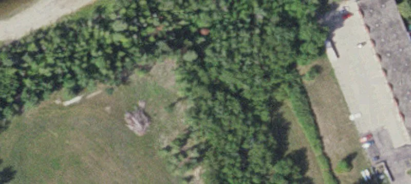 International Falls, MN 56649