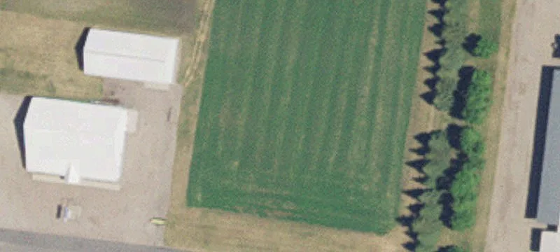 Olivia, MN 56277