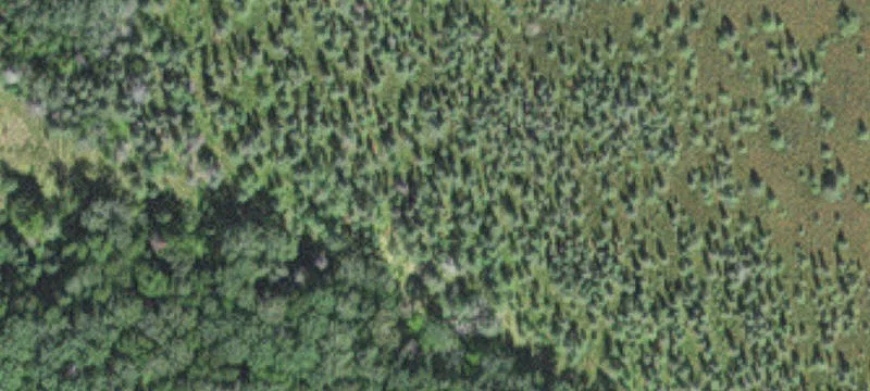 Tamarack, MN 55787