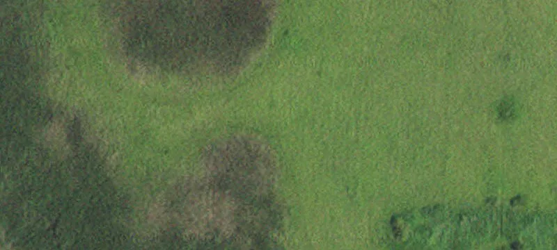 Ogema, MN 56569