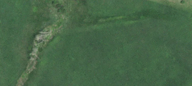 Herman, MN 56248