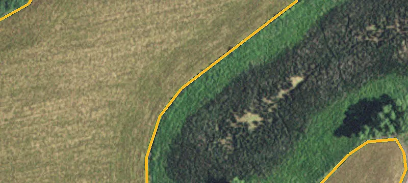 Morris, MN 56267