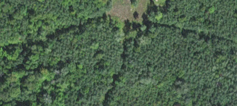 Tamarack, MN 55787