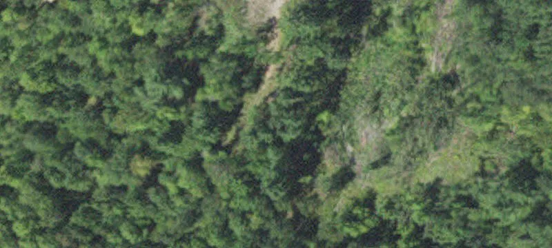 30269 Harris Town Rd