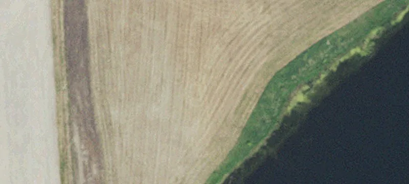 Sunburg, MN 56289