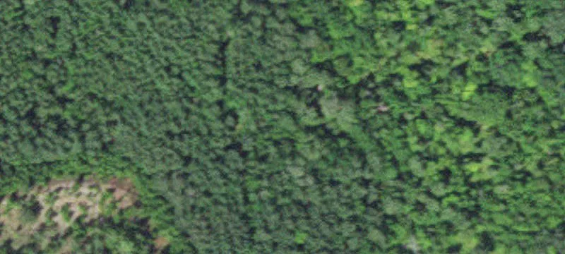 Bovey, MN 55709