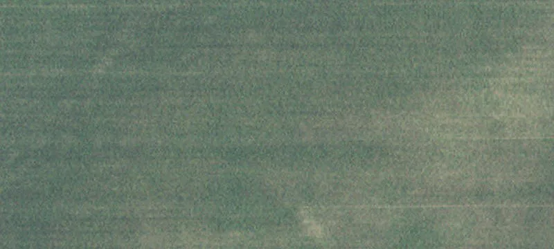 Gibbon, MN 55335