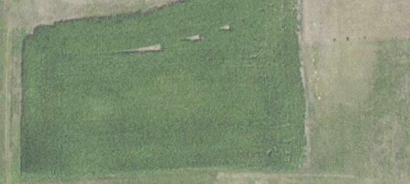 Wanamingo, MN 55983