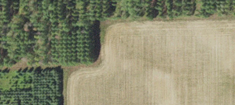 29971 Harris Town Rd
