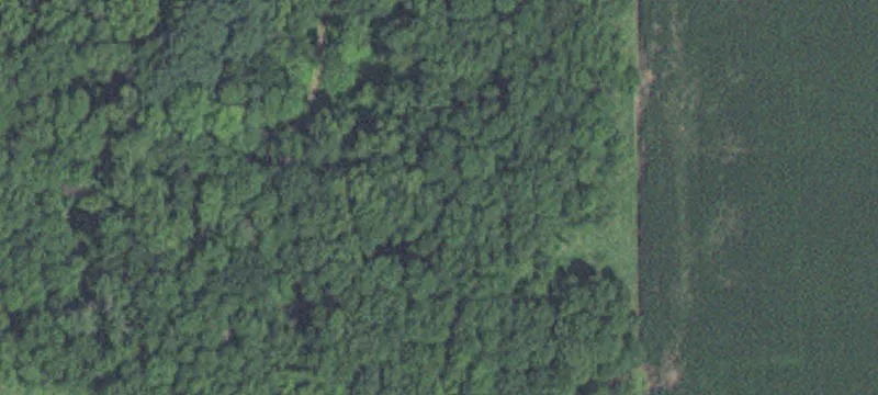 Madison Lake, MN 56063