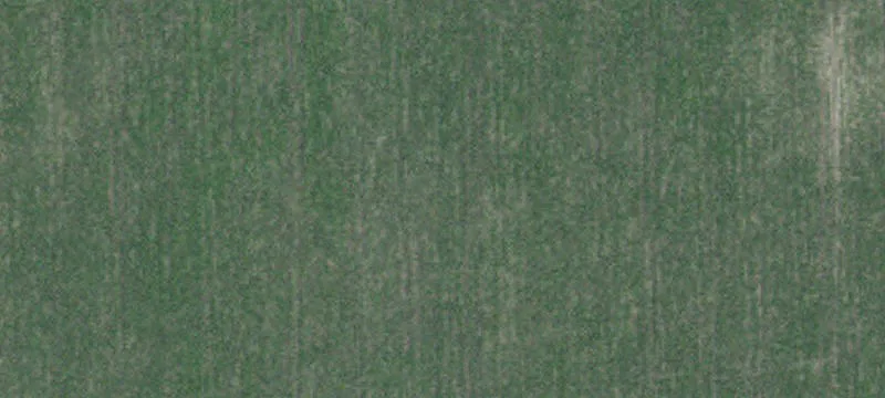 Raymond, MN 56282