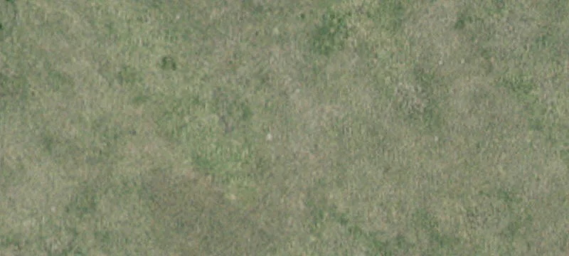 Appleton, MN 56208