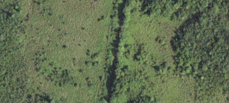 Littlefork, MN 56653