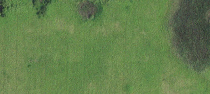 Ogema, MN 56569