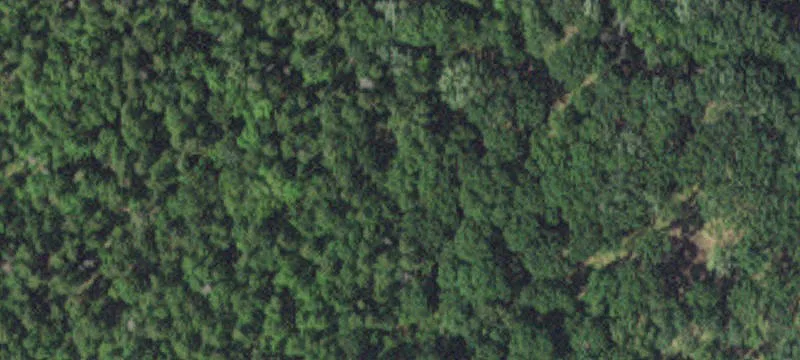 49934 Trillium Loop