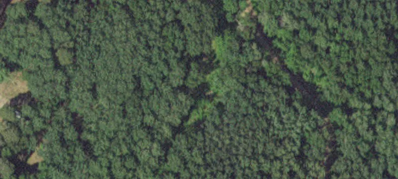 Nevis, MN 56467