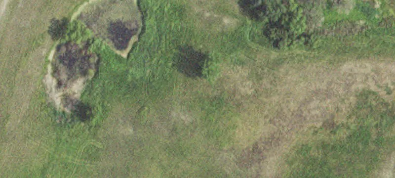 Audubon, MN 56511