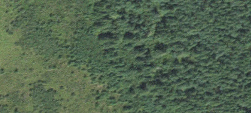 Tamarack, MN 55787