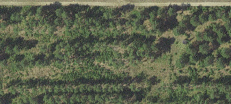 8565 Hwy 2nd W