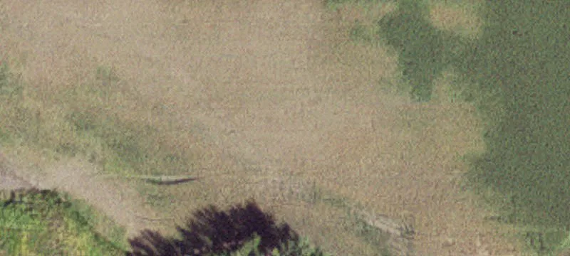 Westbrook, MN 56183