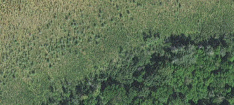 Tamarack, MN 55787