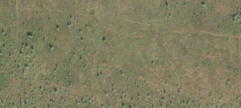 Tamarack, MN 55787