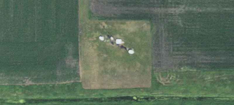 Lucan, MN 56255