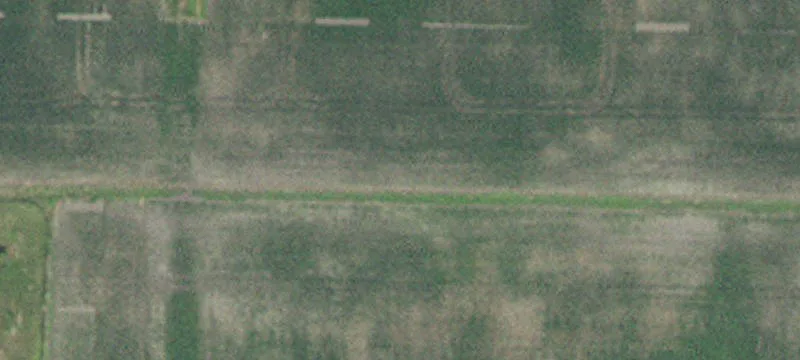 Tintah, MN 56583