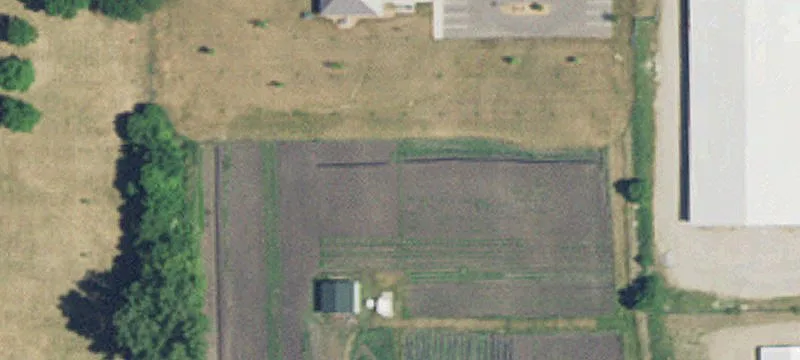 Olivia, MN 56277